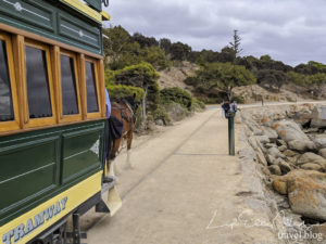 One of Victor Harbor's main attractions is the heritage Horse pulled tram service connecting the two lands together. 