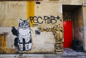 Graffiti Cat 